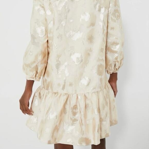 TUCKERNUCK EVERYTHING Must GO Champagne Fil Coupe Palmerston Dress - Picture 2 of 7